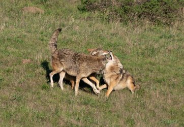 DSC03953-2.jpg DSC03953-2.jpg