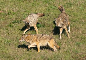 DSC03967-2-Edit.jpg DSC03967-2-Edit.jpg