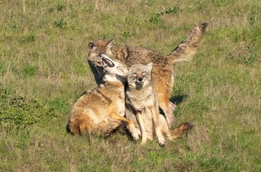 DSC03991-2-Edit.jpg DSC03991-2-Edit.jpg