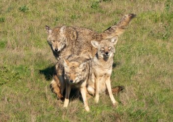 DSC03996-2-Edit.jpg DSC03996-2-Edit.jpg