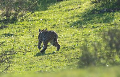 DSC03866-2-Edit.jpg DSC03866-2-Edit.jpg