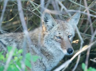 DSC03911-2.jpg DSC03911-2.jpg