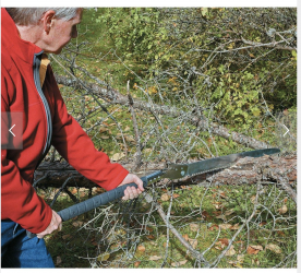 Screen Shot 2021-12-26 at 11.26.33 AM.png