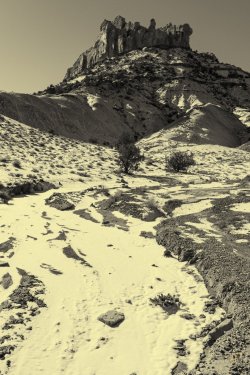 RCM06594 12-2021-211218-41.jpg