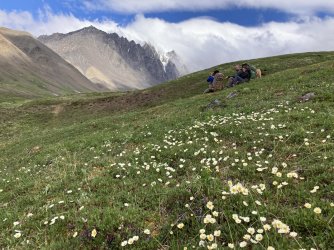 E7793BF9-FF85-454A-BC6C-BF2468FBCC97.jpeg E7793BF9-FF85-454A-BC6C-BF2468FBCC97.jpeg