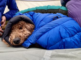 BB708C6D-9A94-41D5-A2DD-8F6464A53EA9.jpeg BB708C6D-9A94-41D5-A2DD-8F6464A53EA9.jpeg