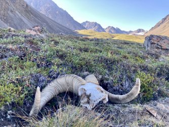 BCC6E8EA-F07A-4B36-BF02-6229CEF75989.jpeg BCC6E8EA-F07A-4B36-BF02-6229CEF75989.jpeg