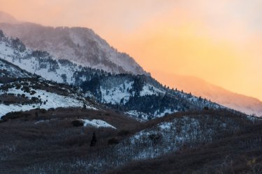 RCM07467-2022 Wanderings 2022-220101-5.jpg