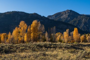 RCM02509-Grand Tetons 9-10 2021-210930-31.jpg