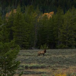 RCM02575-Grand Tetons 9-10 2021-210930-21.jpg