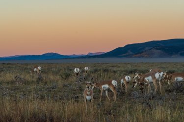 RCM02588-Grand Tetons 9-10 2021-210930-3.jpg