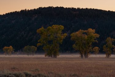 RCM02613-Grand Tetons 9-10 2021-210930-37.jpg