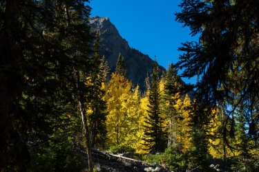 RCM02753-Grand Tetons 9-10 2021-211001-73.jpg