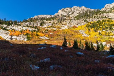 RCM02822-Grand Tetons 9-10 2021-211001-40.jpg