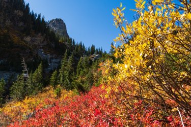 RCM02867-Grand Tetons 9-10 2021-211001-13.jpg