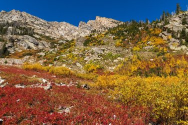 RCM02885-Grand Tetons 9-10 2021-211001-27.jpg