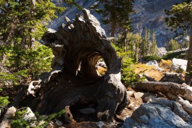 RCM02901-Grand Tetons 9-10 2021-211001-40.jpg