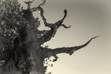 RCM02929-Grand Tetons 9-10 2021-211001-67.jpg