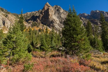 RCM03583-Grand Tetons 9-10 2021-211003-37.jpg