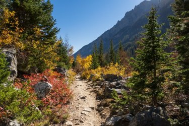 RCM03597-Grand Tetons 9-10 2021-211003-47.jpg