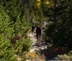 RCM03608-Grand Tetons 9-10 2021-211003-58.jpg