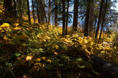 RCM03704-Grand Tetons 9-10 2021-211003-64.jpg