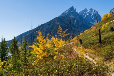 RCM03718-Grand Tetons 9-10 2021-211003-78.jpg