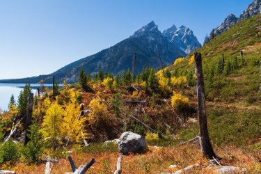 RCM03719-Grand Tetons 9-10 2021-211003-79.jpg