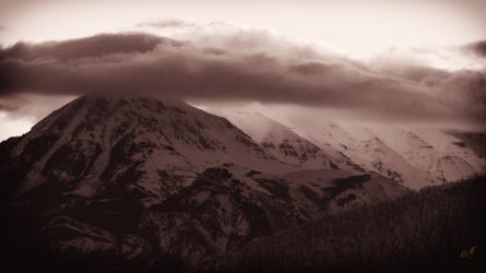 RCM07610-2022 Wanderings 2022-220108-4.jpg