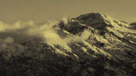 RCM07688-2022 Wanderings 2022-220108-17.jpg