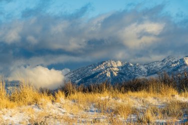 RCM07783-2022 Wanderings 2022-220108-38.jpg