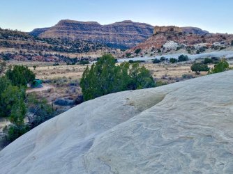 guess the spot 2 -2021.jpg