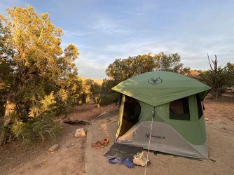 gazelle T3.jpg gazelle T3.jpg