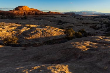 RCM08005-January Needles 1-2022-220114-52.jpg