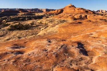 RCM08117-January Needles 1-2022-220114-9.jpg