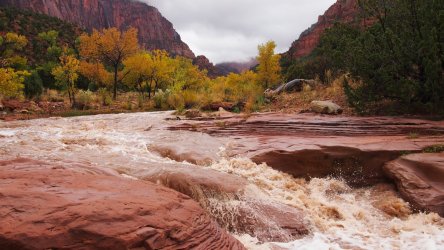 PA124884 the torrent.jpg