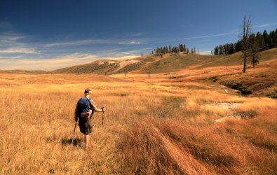 Hayden valley outlet trail