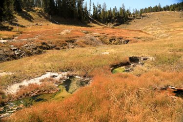 Yellowstone's Hayden Valley in a Day -- September 17 2021 | Backcountry Post