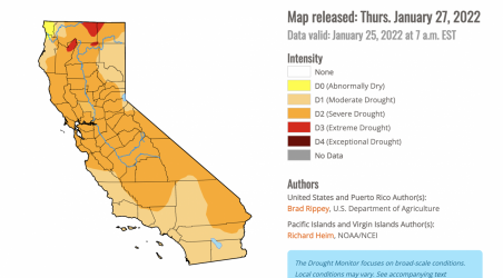 Screen Shot 2022-01-30 at 10.02.02 AM.png