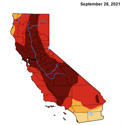 Screen Shot 2022-01-30 at 10.05.24 AM.png