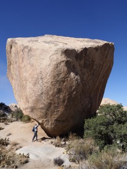 2FC72925-A57A-41A1-94E9-2F94D24CD511.jpeg 2FC72925-A57A-41A1-94E9-2F94D24CD511.jpeg