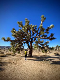 F4E227E3-5E18-48B0-A44E-B2D6746E14E7.jpeg F4E227E3-5E18-48B0-A44E-B2D6746E14E7.jpeg