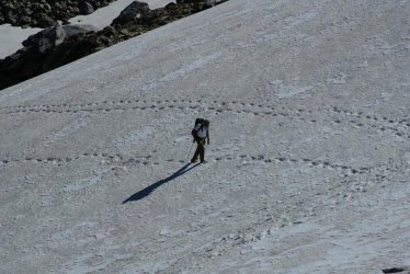 DSC02949.jpg DSC02949.jpg