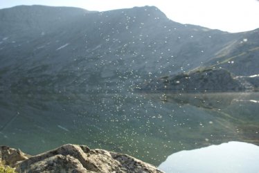 DSC02996.jpg DSC02996.jpg