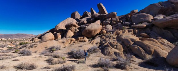 2689EB37-8957-45FF-93FE-354E469F64EE.jpeg 2689EB37-8957-45FF-93FE-354E469F64EE.jpeg