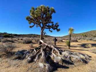 912A99D6-6B0C-428F-8F41-0A5EFEAD561A.jpeg 912A99D6-6B0C-428F-8F41-0A5EFEAD561A.jpeg