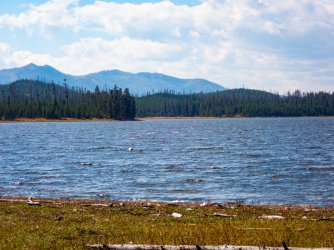 YNP_Day-1_Riddle_L_swan.jpg YNP_Day-1_Riddle_L_swan.jpg