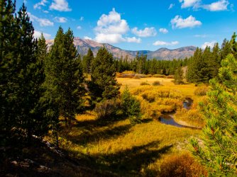 YNP_Day-2_Beaver_Cr&Mt_Sheriden.jpg YNP_Day-2_Beaver_Cr&Mt_Sheriden.jpg