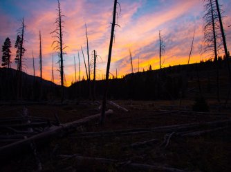 YNP_Day-2_Grouse_Cr_camp_area_W.jpg YNP_Day-2_Grouse_Cr_camp_area_W.jpg
