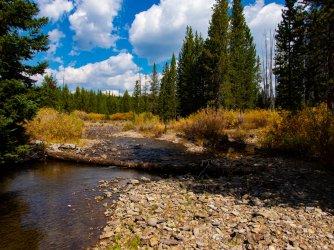 YNP_Day-2_Heart_R_trail_Surprise_Creek_upstream-1.jpg YNP_Day-2_Heart_R_trail_Surprise_Creek_upstream-1.jpg